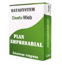 plan_empresarial Diseño de páginas web y marketing online en Madrid - Data System