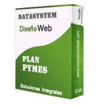 plan_pymes Diseño de páginas web y marketing online en Madrid Data System - Data System