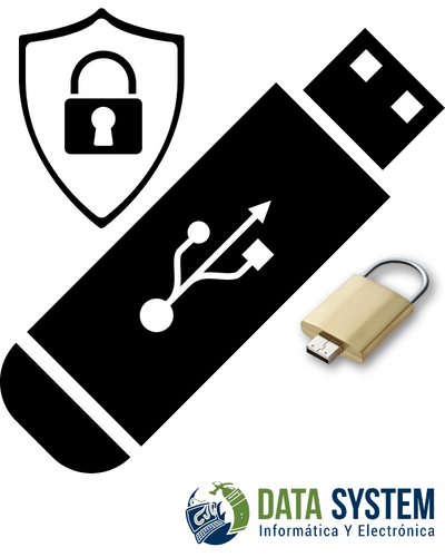 usb Protege la información de tu memoria USB con ProtectorionToGo - Data System