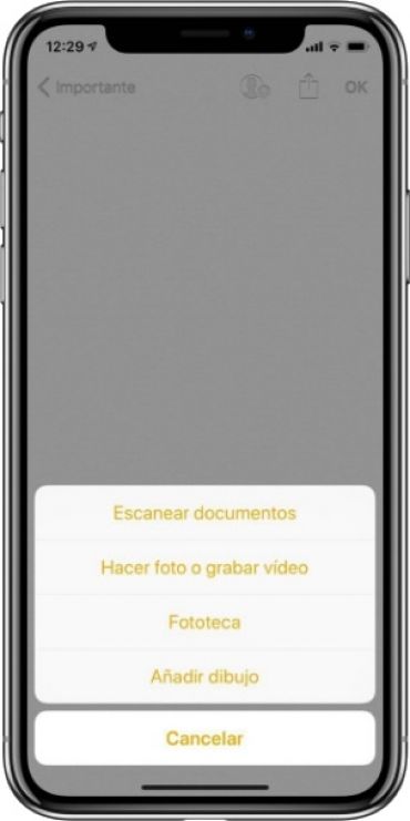¿Cómo Escanear documentos usando notas en iPhone?